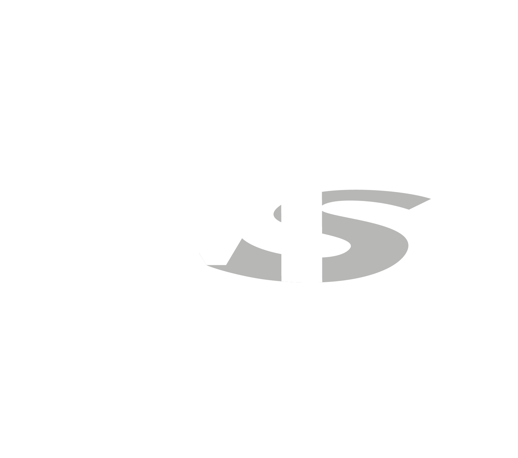 MS Marketing
